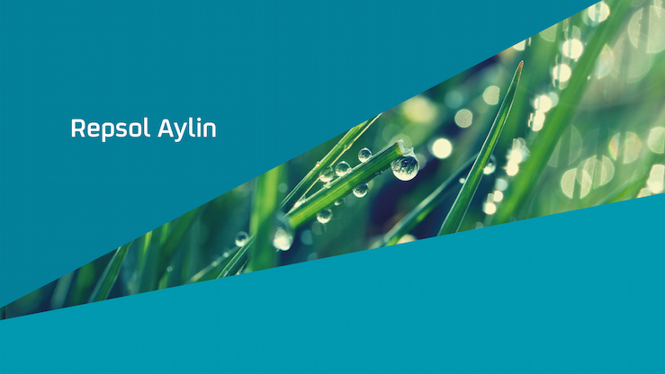 Repsol Aylin